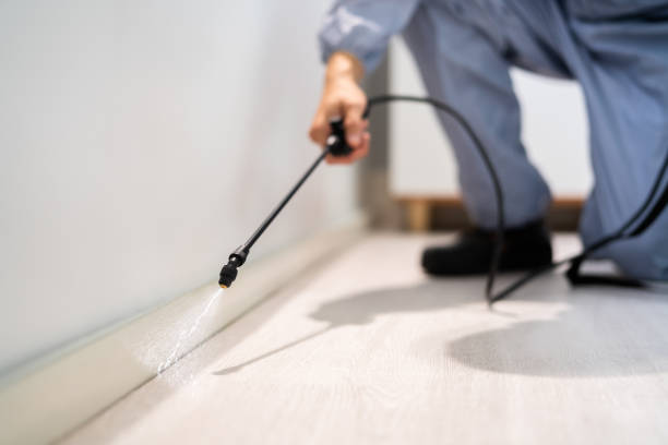 Licensed Termite Control service in St. Johns County County, FL - Nex Pest Control
