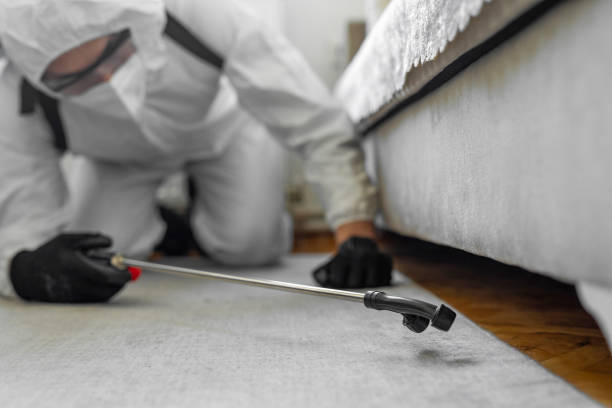 Professional Termite Control technician working in St. Johns County County, FL
